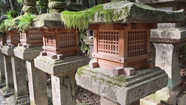 Posted media